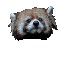 Design Colors Sticker by tikkurila