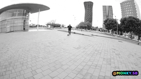 monkysb giphygifmaker skate barcelona flip GIF