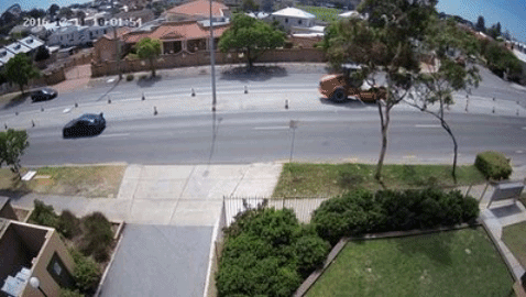 themewswestperth themews GIF