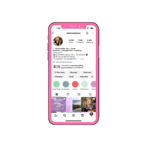 bsoshel instagram social media iphone bsoshel Sticker