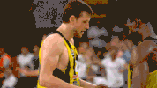 euroleague basketball GIF by EuroLeague