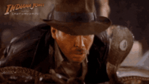 dushkebab giphygifmaker giphycreatortest indiana jones indianajones GIF