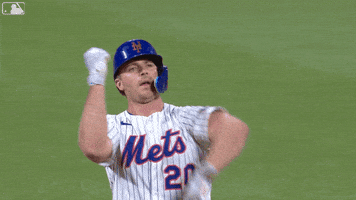 Pete Alonso Baseball GIF by New York Mets