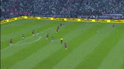 raul jimenez mexico GIF by MiSelecciónMX