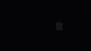 Fnoob Tv GIF by Fnoob  Techno