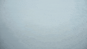 GIF by Rock City Digital