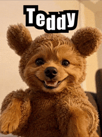 Dogs Pets GIF by impactcollision