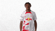 Lets Go Football GIF by RB Leipzig
