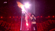 eurovision GIF by vrt