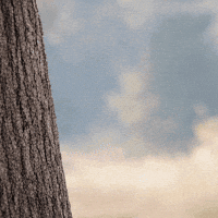 Spy Spying GIF