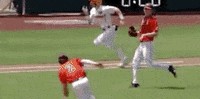 Baseball College GIF by NCAA Championships
