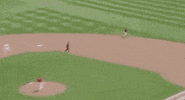 Baseball College GIF by NCAA Championships