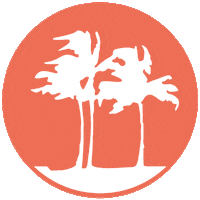 Palme Sticker by KiteWorldWide