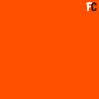 FanCode duck dc cricket out GIF