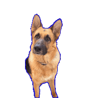 German Kiss Sticker by VCDSA911