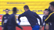 GIF by FOX Sports