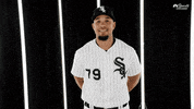 excited white sox GIF by NBC Sports Chicago
