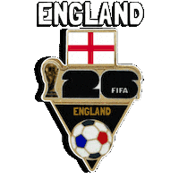 World Cup Football Sticker by Pudgy Penguins