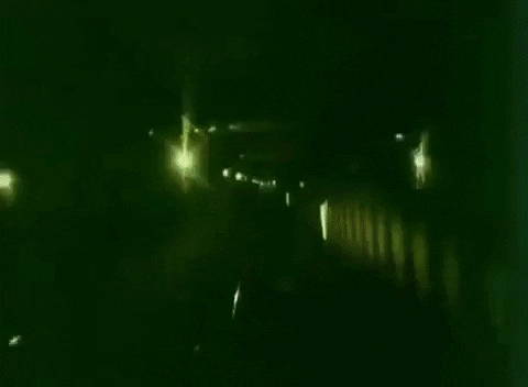 echo party GIF