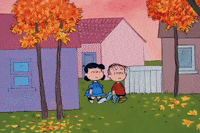 charlie brown halloween GIF by Peanuts