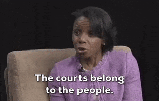 Judge GIF by GIPHY News