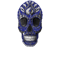 Skull Amuerte Sticker by Vini Delea