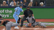 Blue Jays Baseball GIF by Toronto Blue Jays