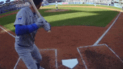 Chicago Cubs Baseball GIF by TheDreamTeam 
