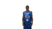 Liga Endesa Basketball Sticker by ACB