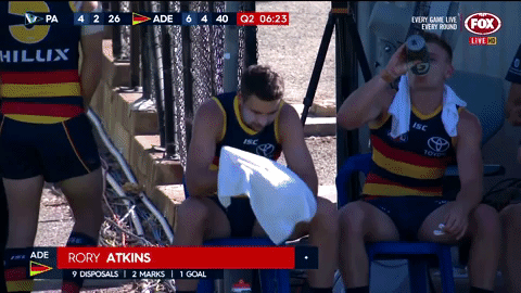 afl atkins GIF by Adelaide Crows