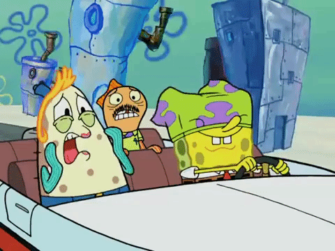 season 4 krusty towers GIF by SpongeBob SquarePants