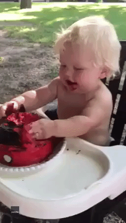 Toddler Makes a Mess of His First Birthday Cake