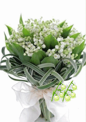 Lily Of The Valley Flowers GIF