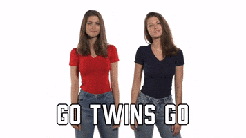 Go Twins Go