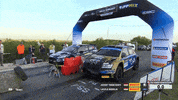Too Fast Start GIF by FIA European Rally Championship
