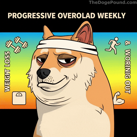 Tired Shiba Inu GIF by Doge Pound