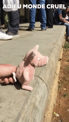 marie-helenebrault giphygifmaker GIF