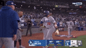 World Series Baseball GIF by MLB