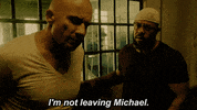 lincoln burrows fox GIF by Prison Break