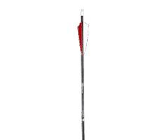 BearpawProducts bear arrow colors bar Sticker