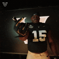 Sport Celebrate GIF by Vanderbilt Athletics