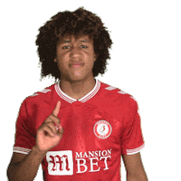 No Way Shake Head Sticker by Bristol City FC