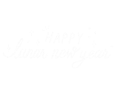 Chinese New Year Tet Sticker