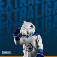 Hockey Hokej GIF by Tipsport extraliga