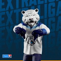 Hockey Hokej GIF by Tipsport extraliga