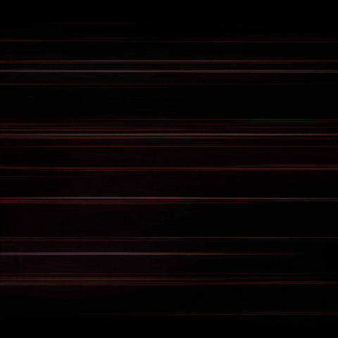 racingby giphyupload GIF