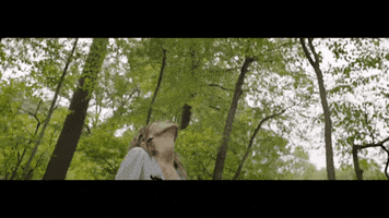 grace vanderwaal happiness GIF