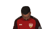 Stuttgart Sticker by Bundesliga