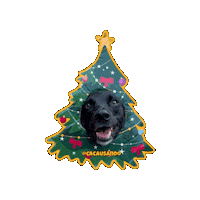 Dog Christmas Sticker