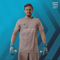 Premier League Football GIF by Prime Video